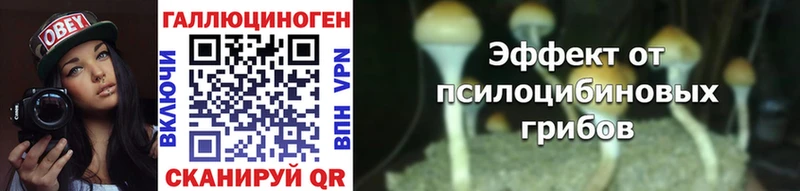 Псилоцибиновые грибы MAGIC MUSHROOMS  mega ссылка  Северодвинск  что такое наркотик 